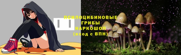 шишки Богородицк