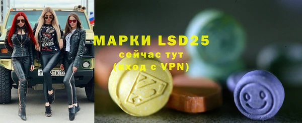 шишки Богородицк