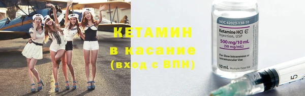 шишки Богородицк