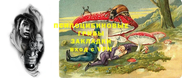 бошки Богданович