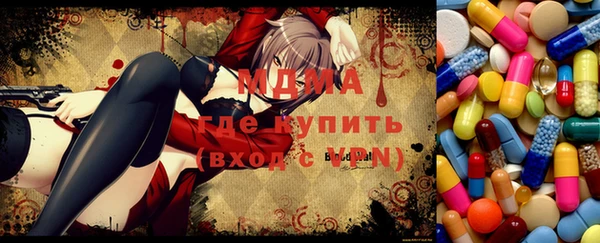 шишки Богородицк