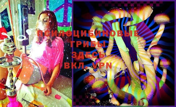 бошки Богданович
