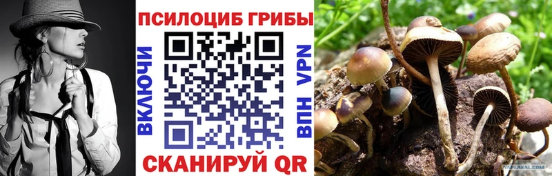 KRAKEN   Краснозаводск  Галлюциногенные грибы Magic Shrooms  где найти  